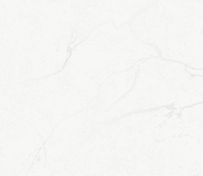 Обои GRANDECO Tango R125101